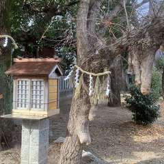 投稿日:2023年2月3日 写真