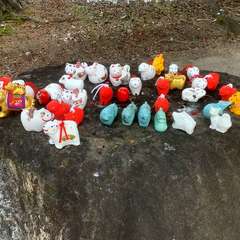 投稿日:2023年2月3日 写真