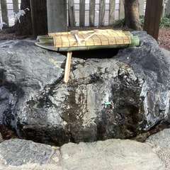 投稿日:2023年2月3日 写真