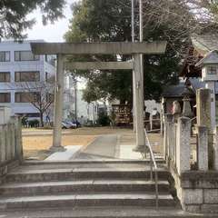 投稿日:2023年2月3日 写真