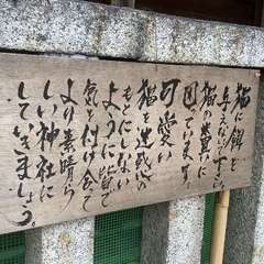 投稿日:2022年12月8日 写真