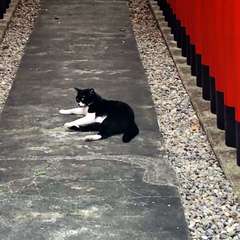 投稿日:2019年8月22日 写真