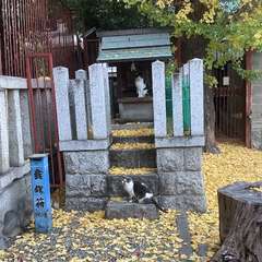 投稿日:2022年12月8日 写真