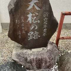 投稿日:2022年12月8日 写真