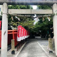 投稿日:2019年8月22日 写真