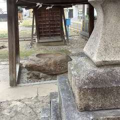 投稿日:2022年12月8日 写真