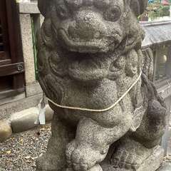 投稿日:2022年12月8日 写真