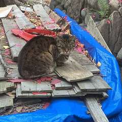 投稿日:2022年12月8日 写真