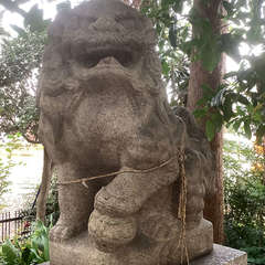 投稿日:2022年12月8日 写真