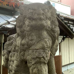 投稿日:2022年12月8日 写真