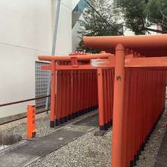 投稿日:2022年12月8日 写真