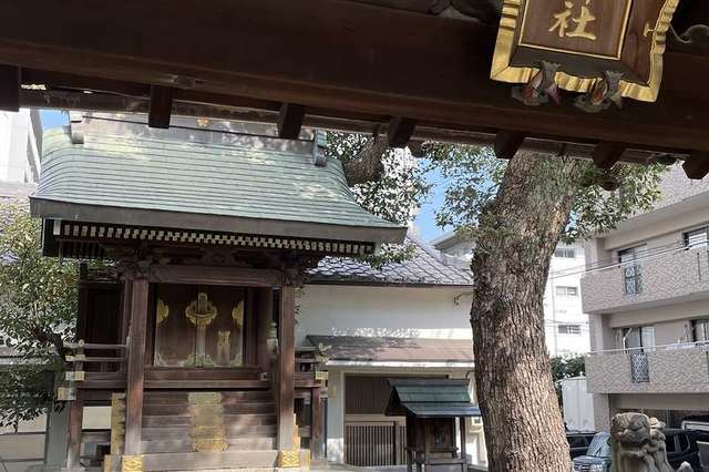 写真