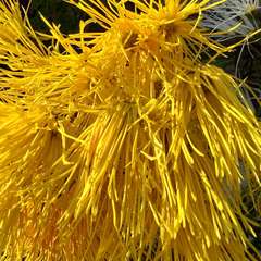 投稿日:2022年11月30日 写真