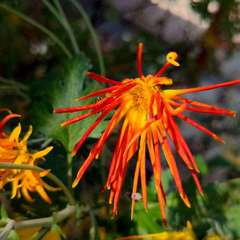 投稿日:2022年11月28日 写真