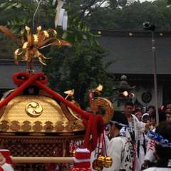 投稿日:2015年12月29日 写真