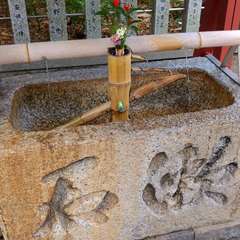 投稿日:2022年11月28日 写真