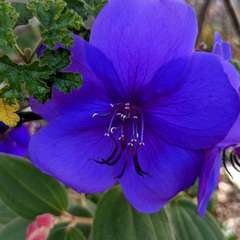 投稿日:2022年11月28日 写真