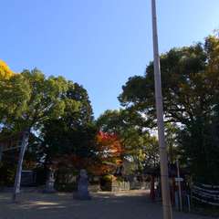 投稿日:2022年11月28日 写真