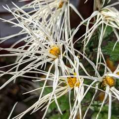 投稿日:2022年11月28日 写真