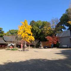 投稿日:2022年11月28日 写真