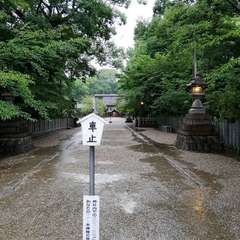 投稿日:2022年8月19日 写真