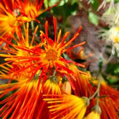 投稿日:2022年11月28日 写真