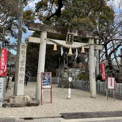 投稿日:2025年2月24日 写真