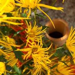 投稿日:2022年11月28日 写真