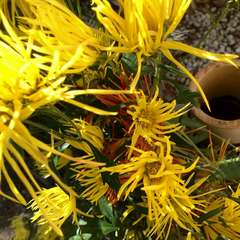 投稿日:2022年11月30日 写真