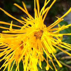 投稿日:2022年11月28日 写真