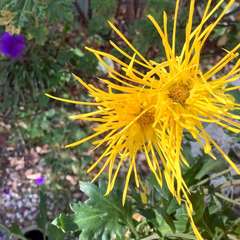 投稿日:2022年11月30日 写真