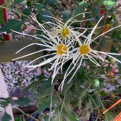 投稿日:2022年11月30日 写真