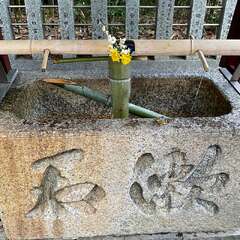 投稿日:2025年2月24日 写真