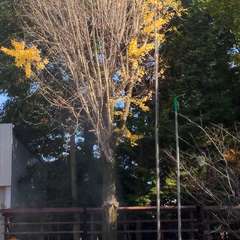 投稿日:2022年11月28日 写真