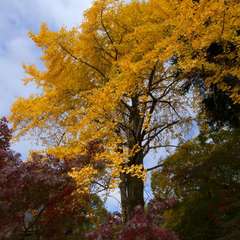投稿日:2022年11月28日 写真
