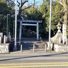 菅田神社(投稿日:2024年1月14日) 写真