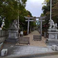 投稿日:2022年12月16日 写真