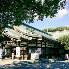 写真