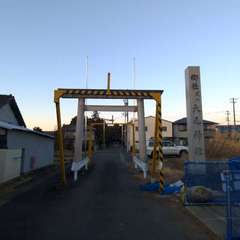 写真
