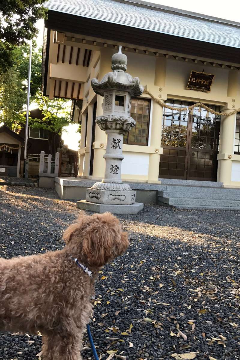 GW後半②プチと。朝宮|⛩朝宮神社|愛知県春日井市 八百万の神