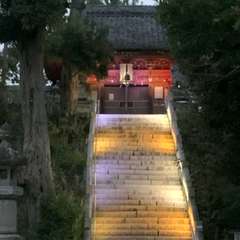 投稿日:2025年1月11日 写真