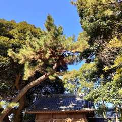 高津社(投稿日:2022年12月12日) 写真