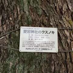 投稿日:2024年5月22日 写真