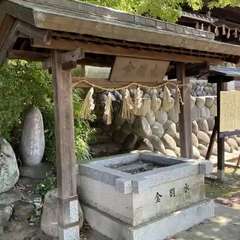 投稿日:2023年1月5日 写真