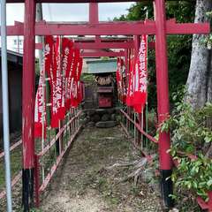 投稿日:2024年5月22日 写真