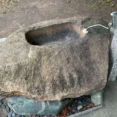 投稿日:2024年5月22日 写真