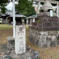 投稿日:2024年5月22日 写真