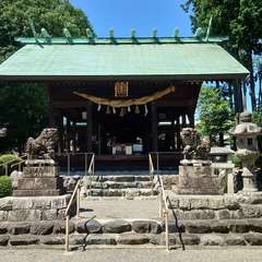 写真