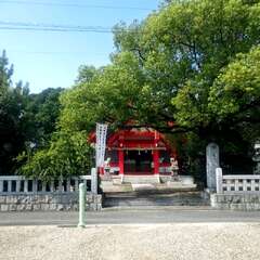 住吉神社(投稿日:2025年8月20日) 写真