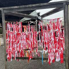 投稿日:2023年3月28日 写真